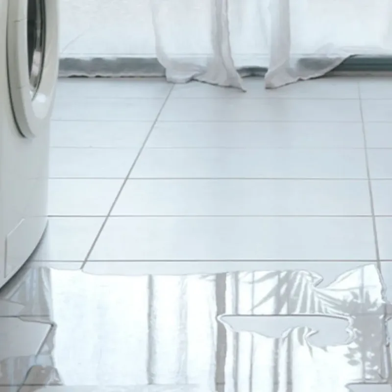 Appliance Leak Cleanup in Crystal Springs, FL