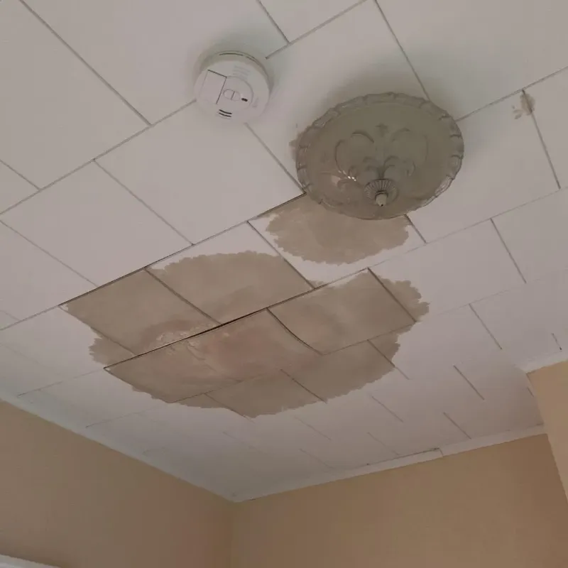 Ceiling Water Damage Repair in Crystal Springs, FL