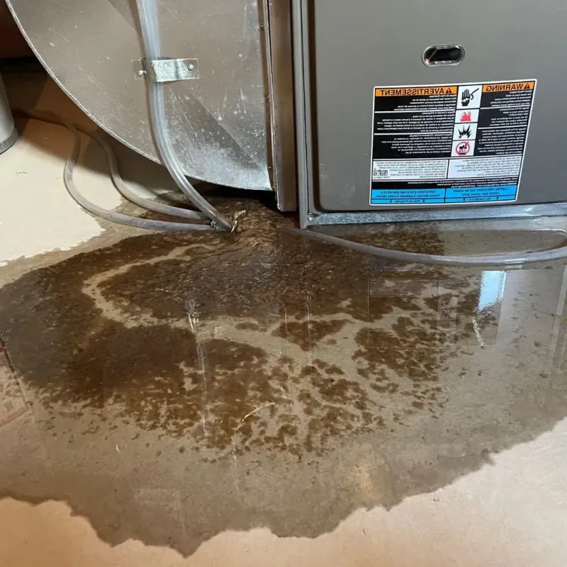 Pipe Burst and Leak Restoration in Crystal Springs, FL